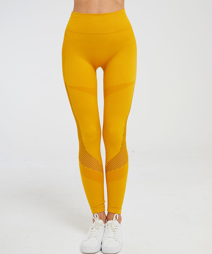 Seamless Hollow Fitness Leggings for Yoga and Gym